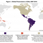 Global Transmission of Zika